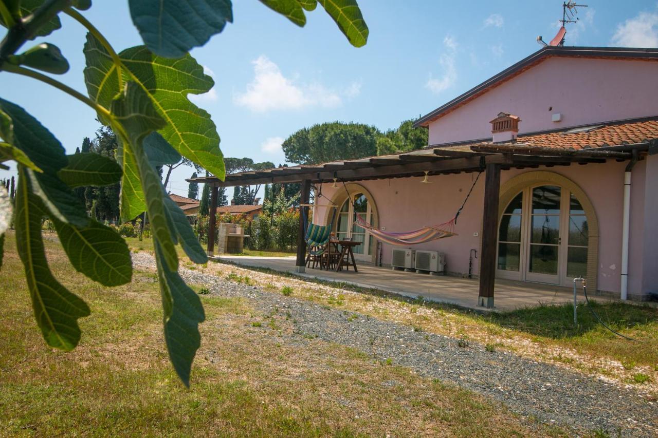 Fattoria Palazzeta - Pet & Family Friendly Aparthotel