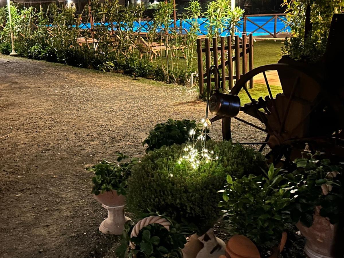 Fattoria Palazzeta - Pet & Family Friendly Cecina (Livorno)