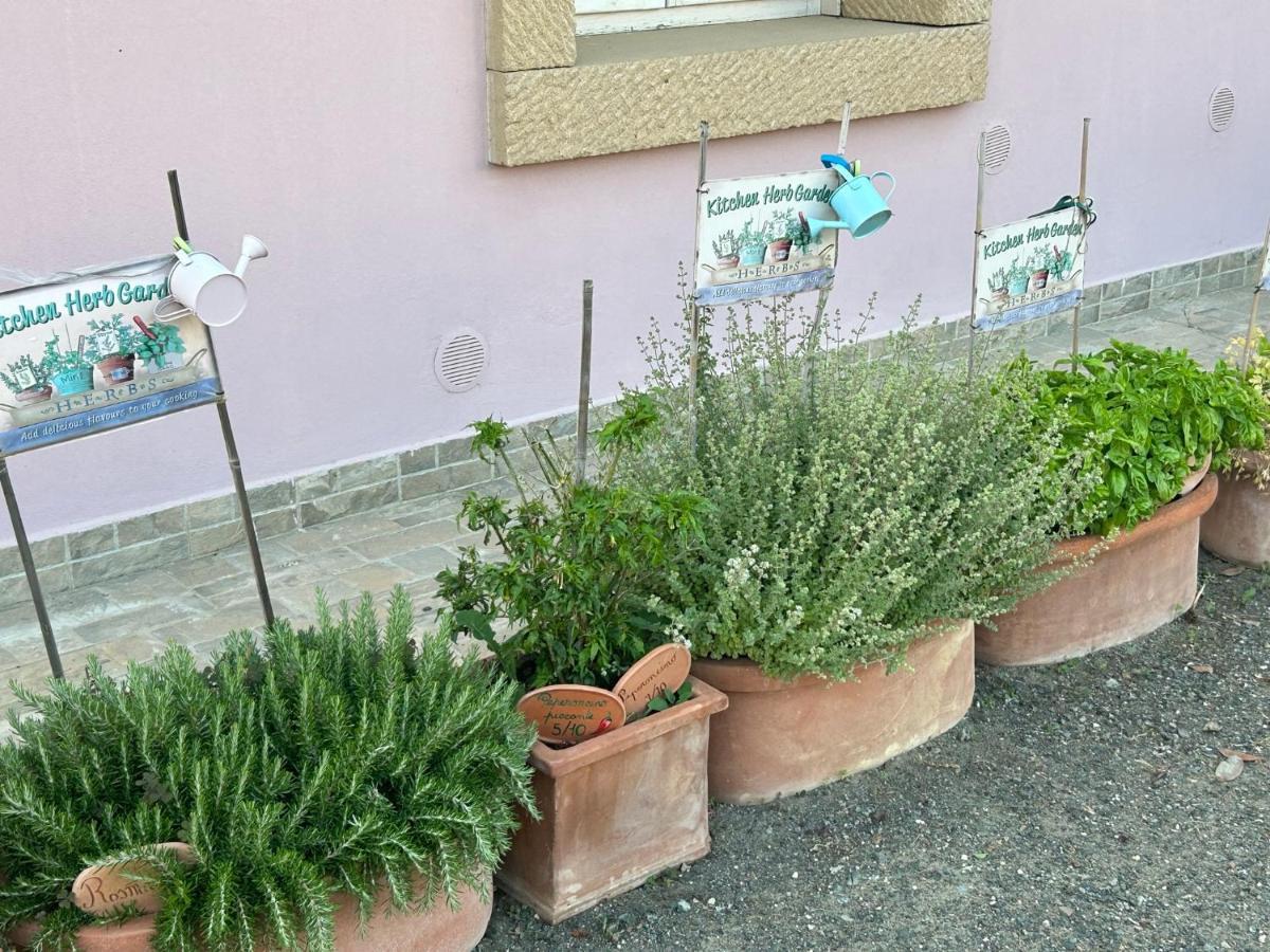Fattoria Palazzeta - Pet & Family Friendly Aparthotel *