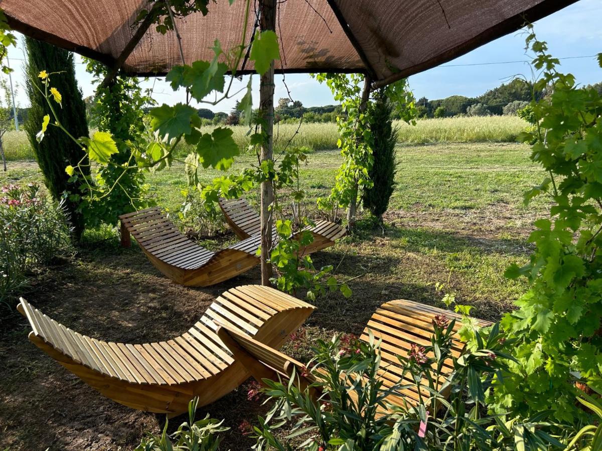 Fattoria Palazzeta - Pet & Family Friendly Cecina (Livorno)