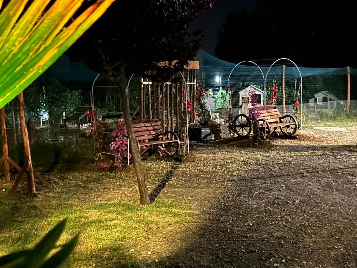 Fattoria Palazzeta - Pet & Family Friendly Cecina (Livorno)