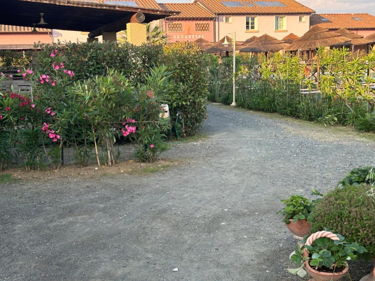 Fattoria Palazzeta - Pet & Family Friendly * Cecina (Livorno)
